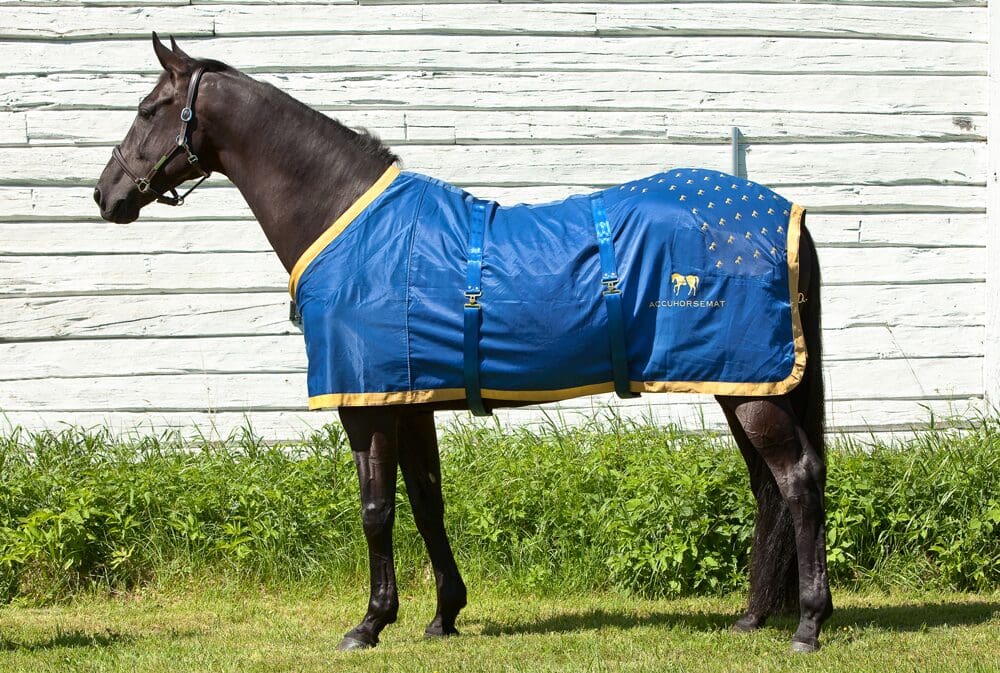 Accuhorsemat